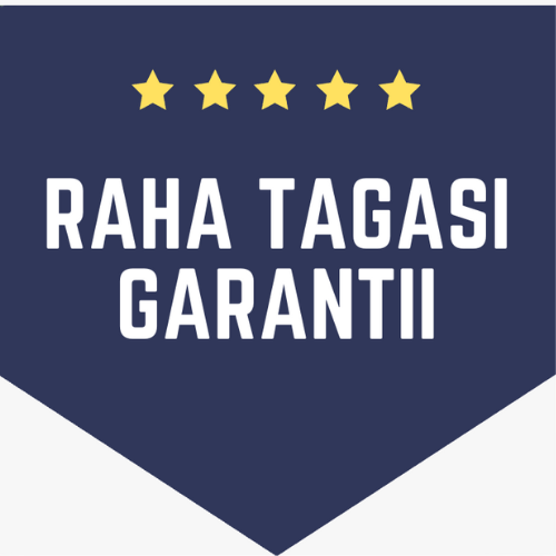 Raha-tagasi-ajaplaneerimine